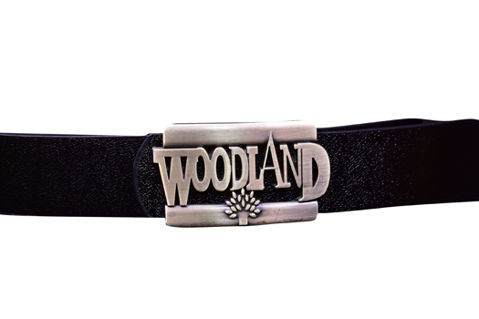 Woodland Men Casual Brown Genuine Leather Belt